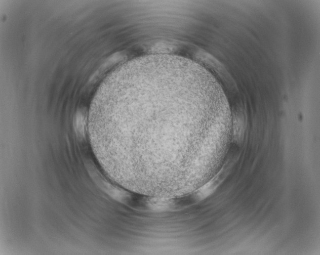 X0000062900142200602031841