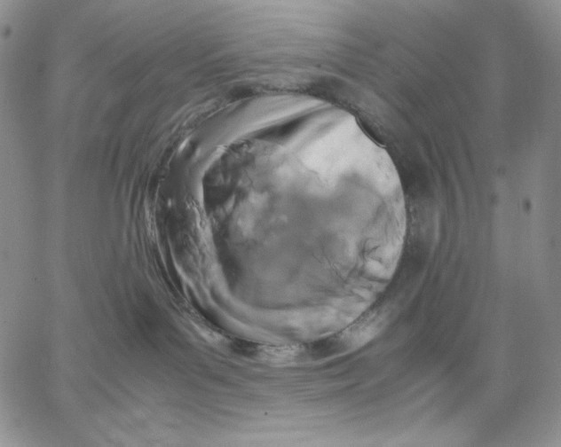 X0000062900143200602031841