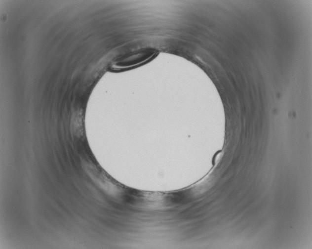 X0000062900144200602031841