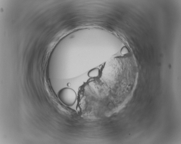 X0000062900145200602031840