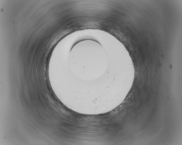 X0000062900146200602031840