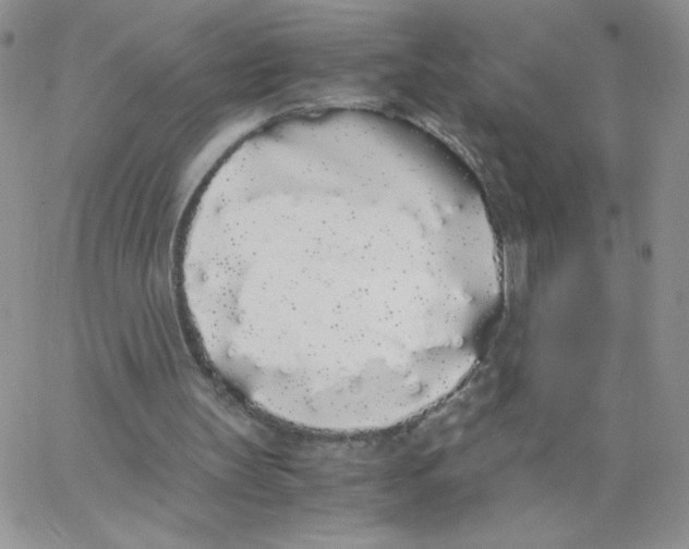 X0000062900147200602031840