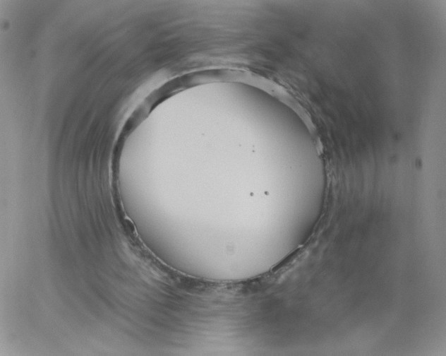 X0000062900148200602031840