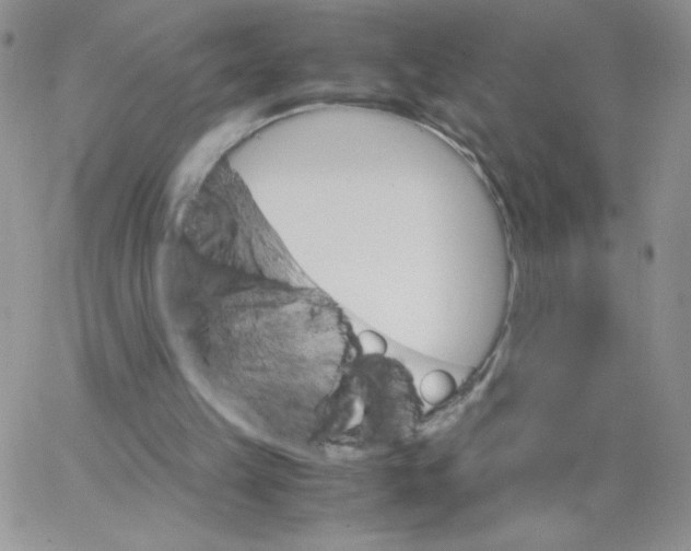 X0000062900149200602031841