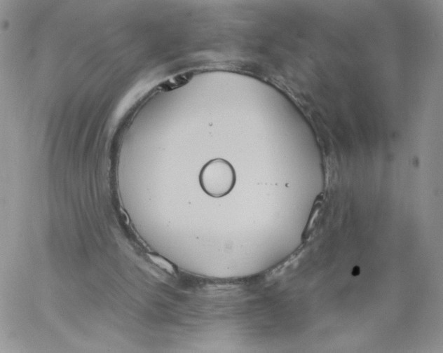 X0000062900150200602031841