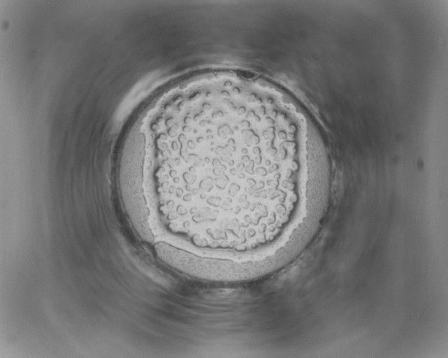 X0000062900151200602031841