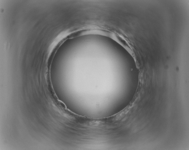 X0000062900152200602031841