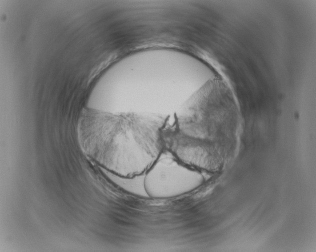 X0000062900153200602031841