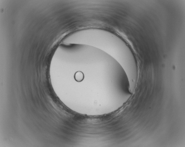 X0000062900154200602031841