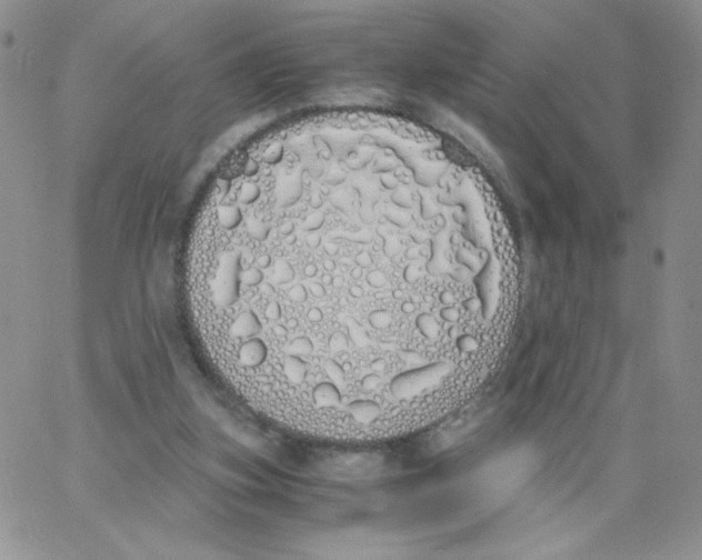 X0000062900155200602031841