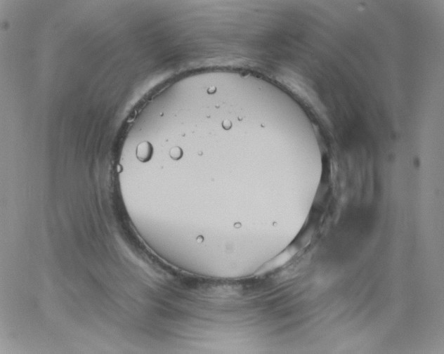 X0000062900156200602031841