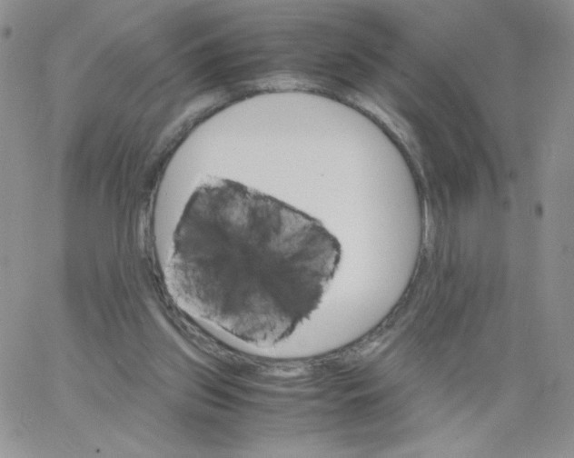 X0000062900157200602031841