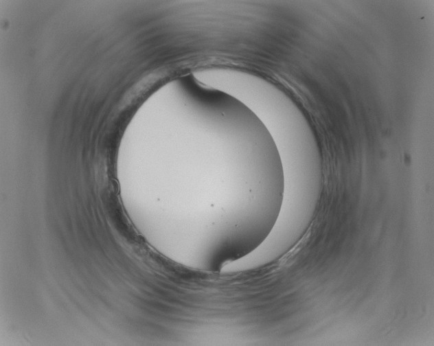 X0000062900158200602031841