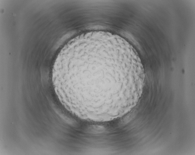 X0000062900159200602031841