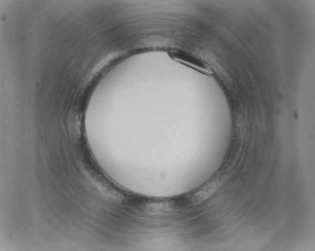 X0000062900160200602031841