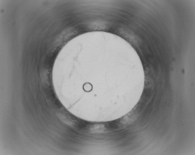 X0000062900162200602031841