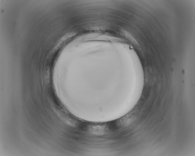 X0000062900163200602031841