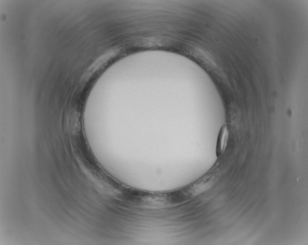 X0000062900164200602031841