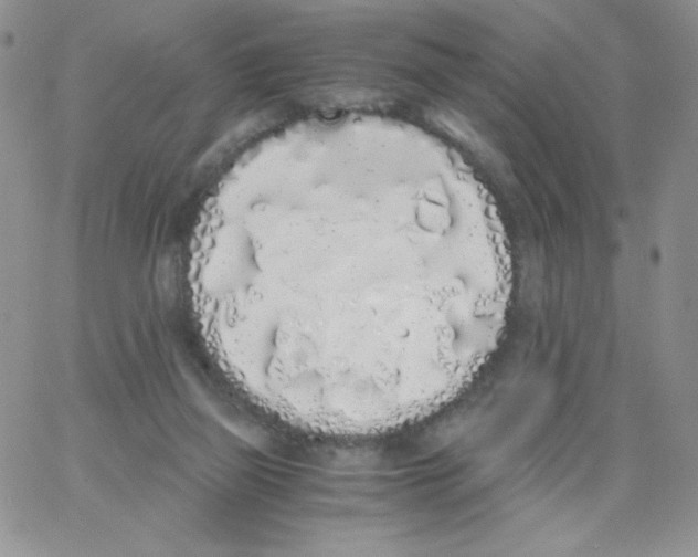 X0000062900165200602031841