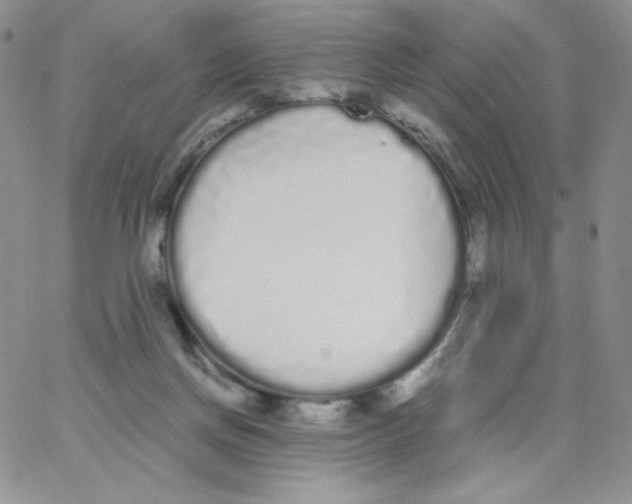 X0000062900166200602031841