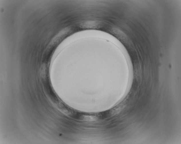 X0000062900167200602031841