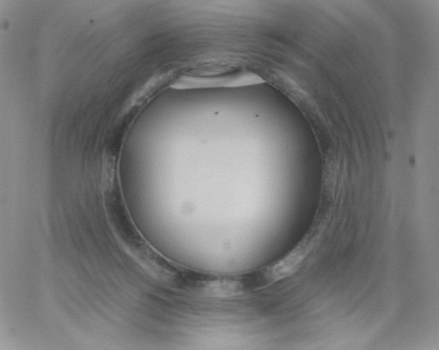 X0000062900168200602031841