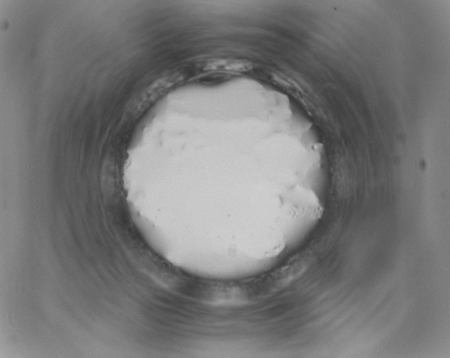 X0000062900169200602031841