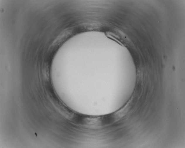 X0000062900170200602031841