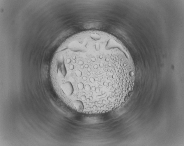 X0000062900171200602031841