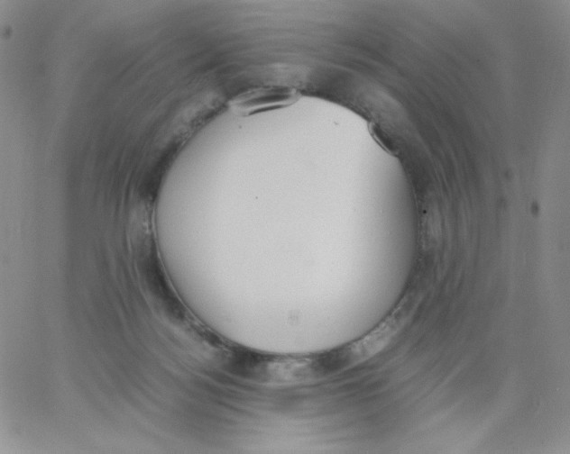 X0000062900172200602031841