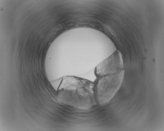 X0000062900173200602031841