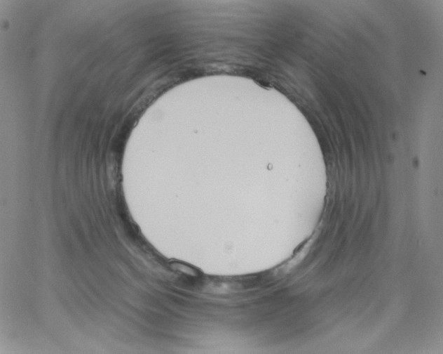 X0000062900174200602031841