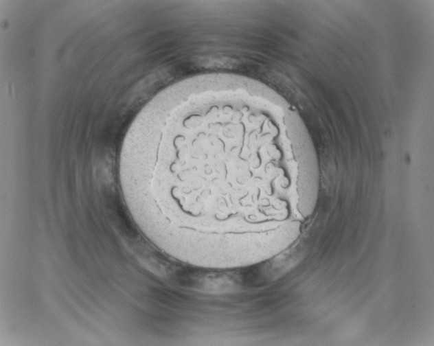 X0000062900175200602031841