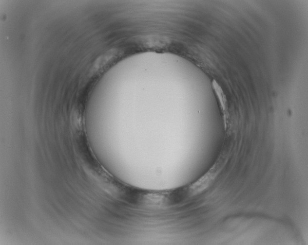 X0000062900176200602031841