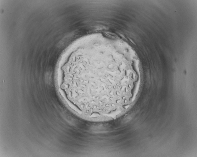 X0000062900177200602031841