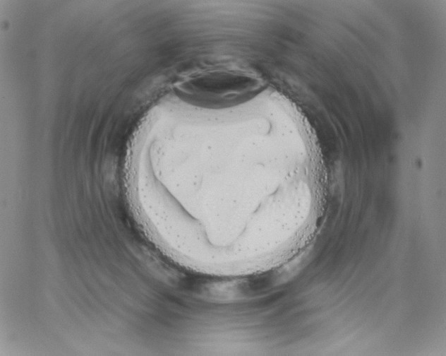 X0000062900178200602031841