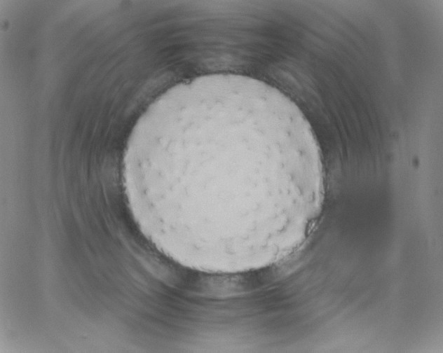 X0000062900179200602031841