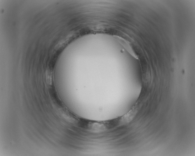 X0000062900180200602031841