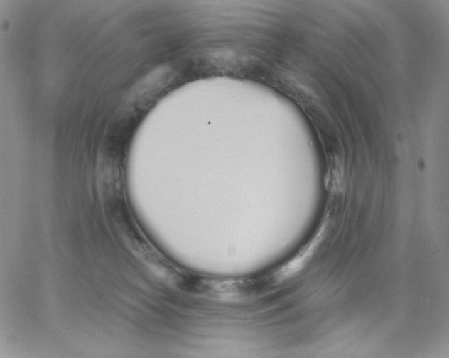 X0000062900182200602031841