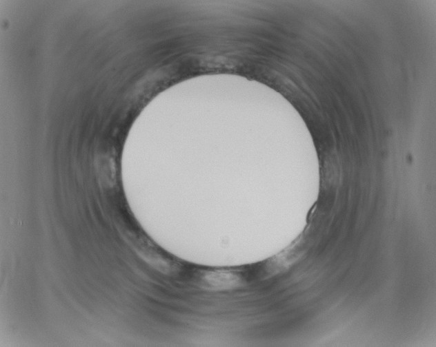 X0000062900183200602031841