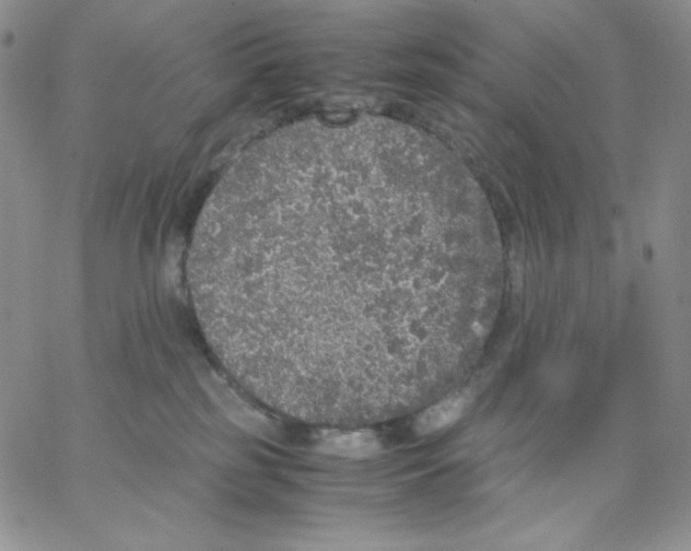 X0000062900185200602031841