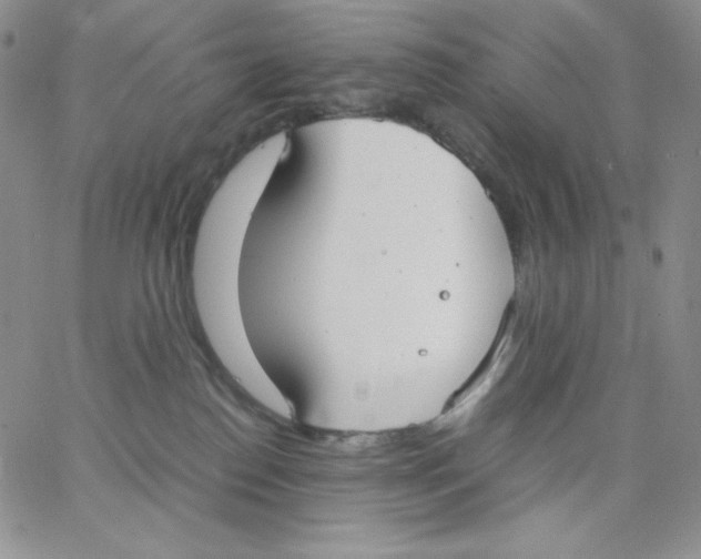 X0000062900186200602031841