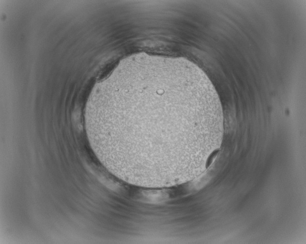 X0000062900187200602031841