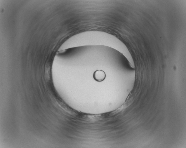 X0000062900188200602031841