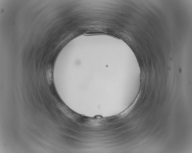 X0000062900190200602031841