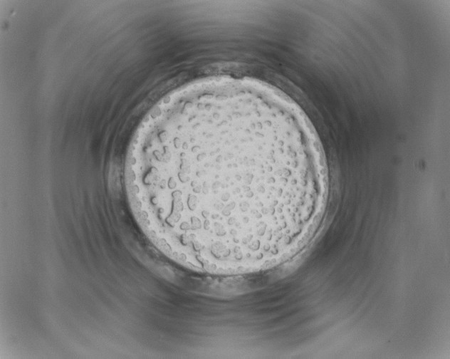 X0000062900191200602031841