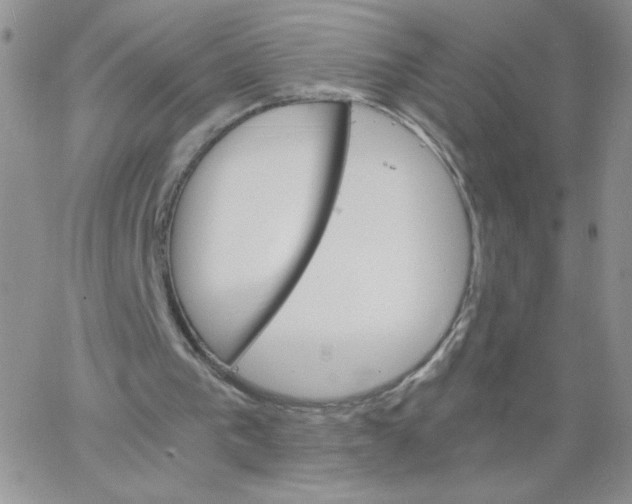 X0000062900193200602031840