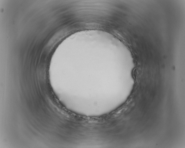 X0000062900194200602031840