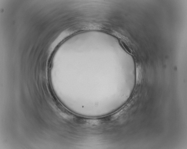 X0000062900195200602031840