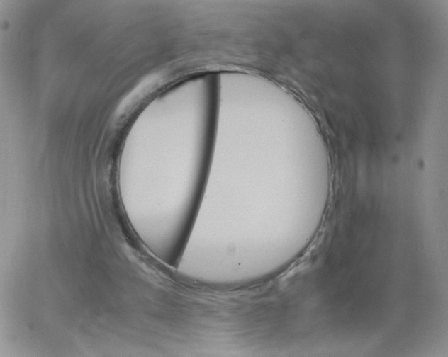 X0000062900197200602031840